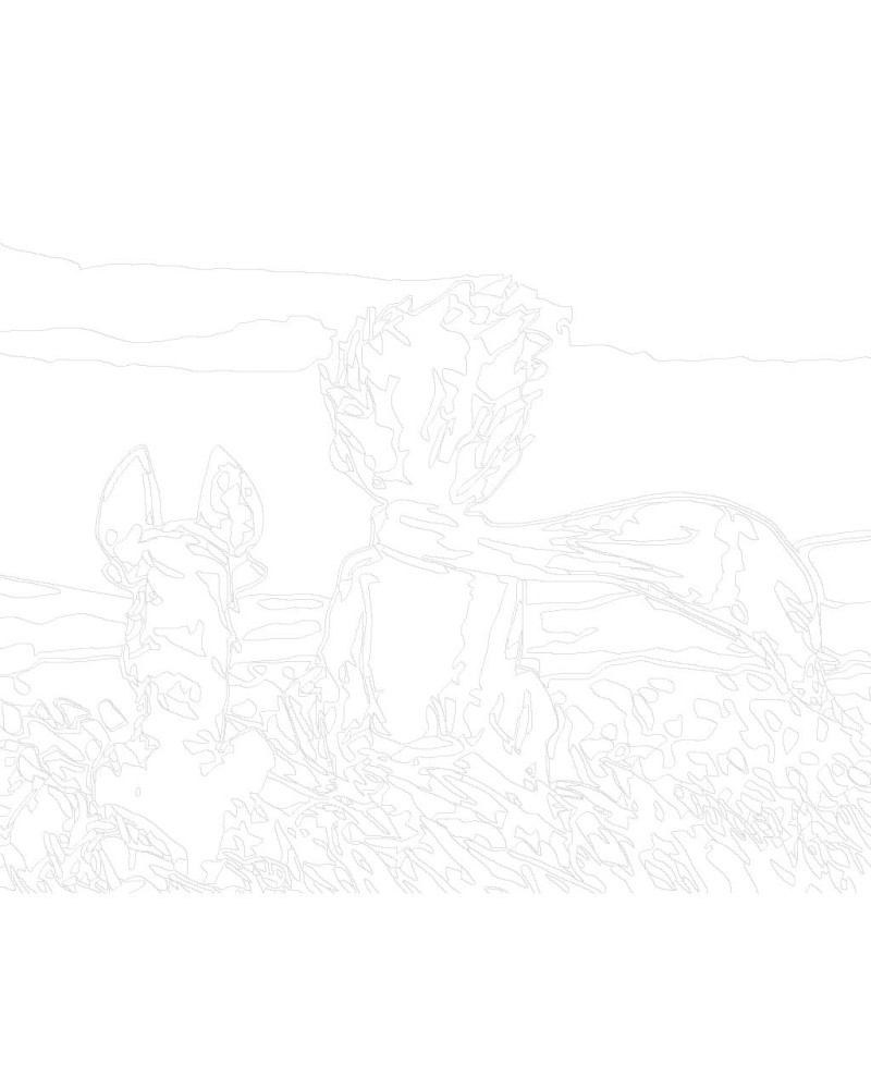 16246-1_malowanie-po-numerach-maly-ksiaze-z-lisem.gif