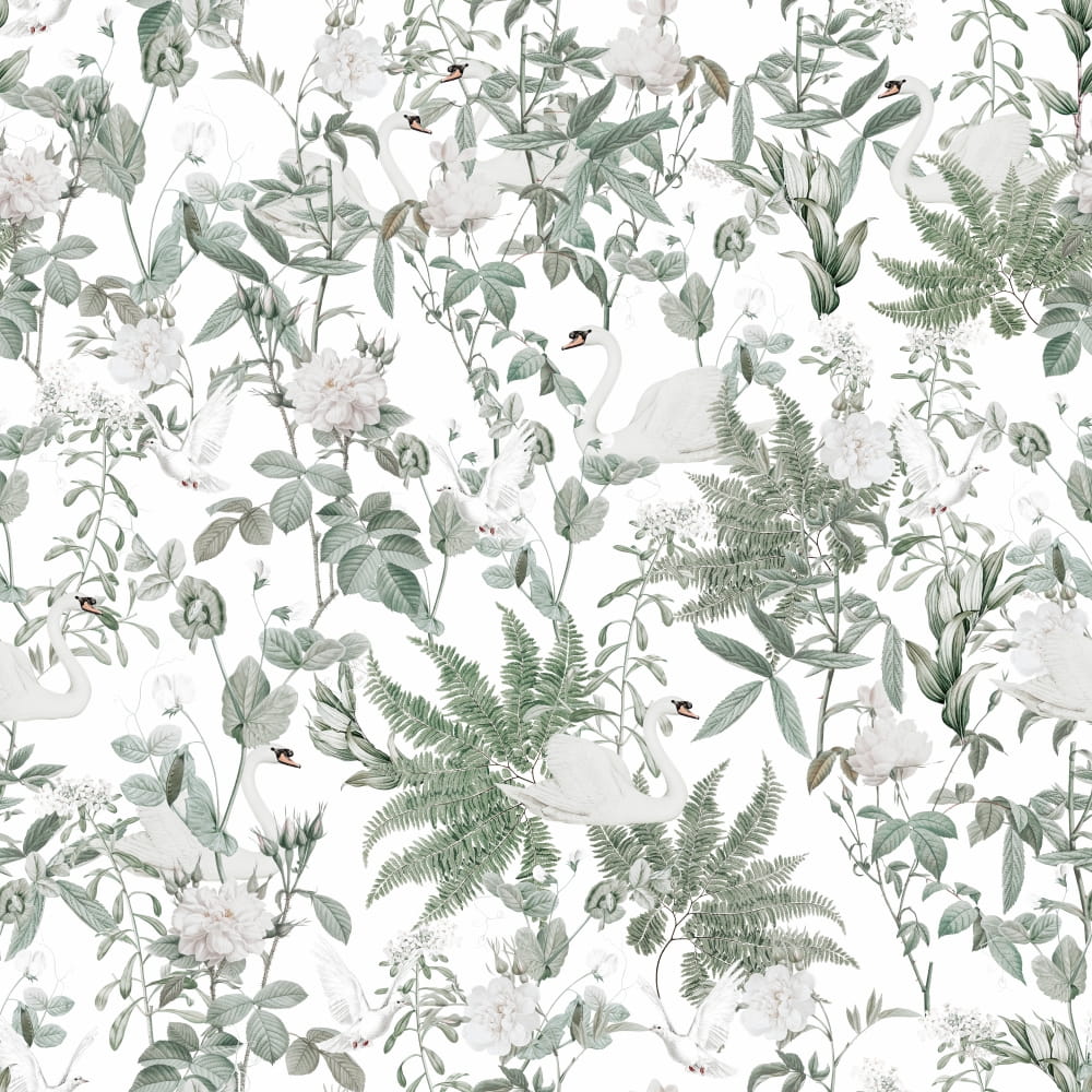 W46 łabędzie i gołębie 1.jpg