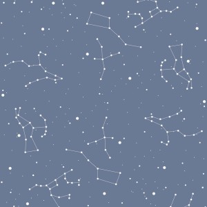 DEKO.TAP_.225-SIMPLE-cosmos-blue-50x280-1 (1).jpg