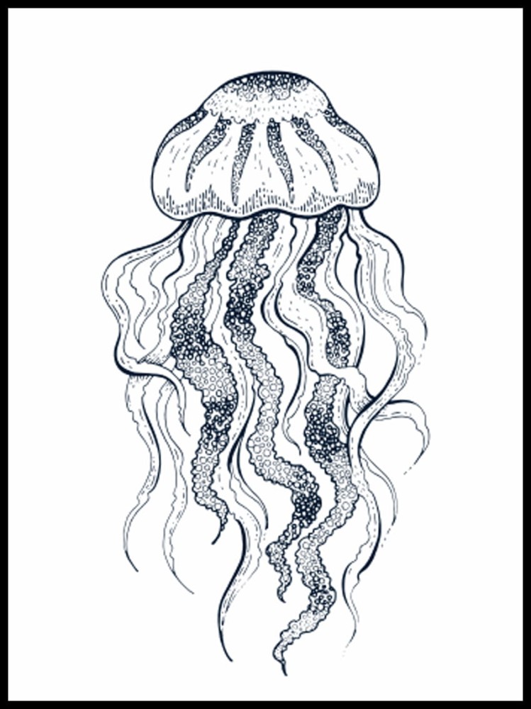 meduza w ramcee 1.jpg