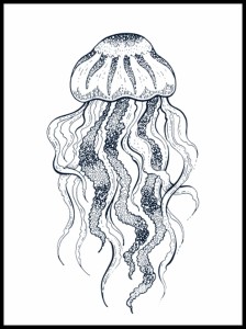 meduza w ramcee 1.jpg