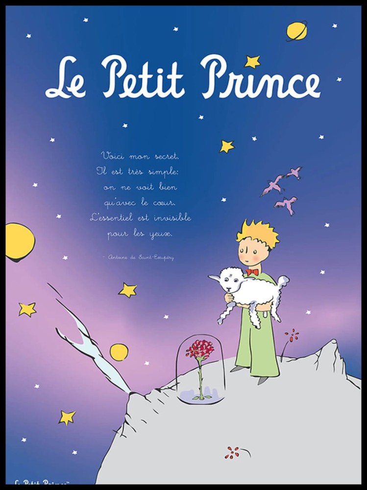 Mały Książę w ramcee 1.jpg