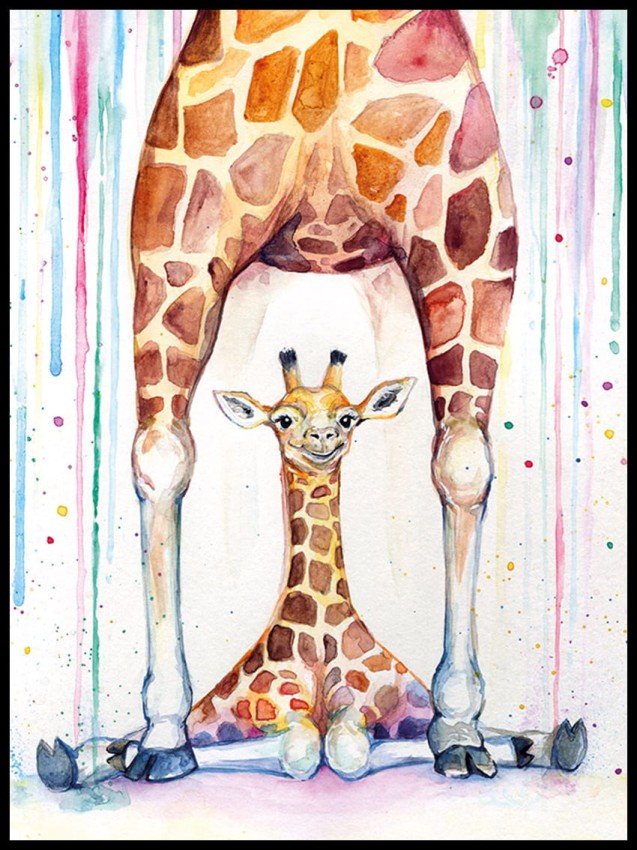 Żyrafy w ramcee 1.jpg