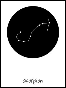 skorpion w ramcee 1.jpg