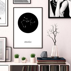 Strzelec wizualizacja.jpg