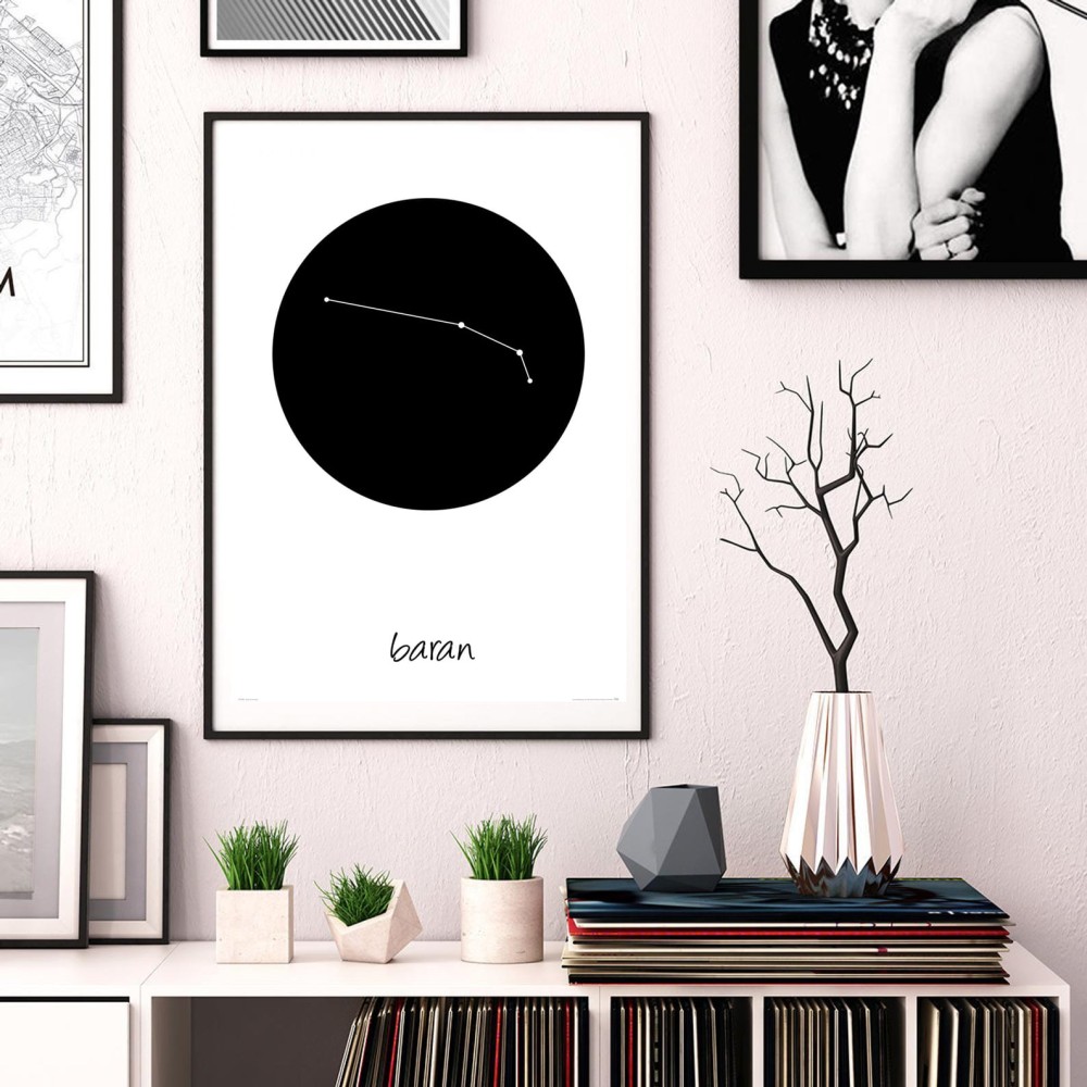 Baran wizaulizajca.jpg