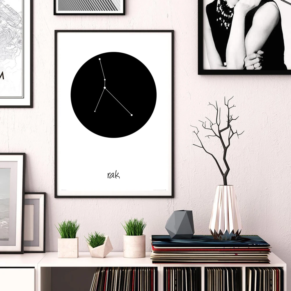 Rak wizualizacja.jpg