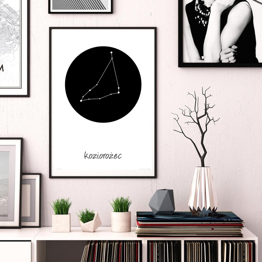 Koziorozec wizualizacja.jpg