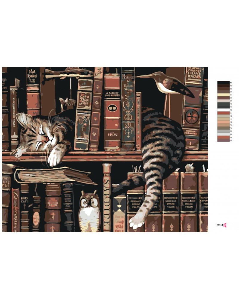 13996-6_malowanie-po-numerach---kot-w-bibliotece.png