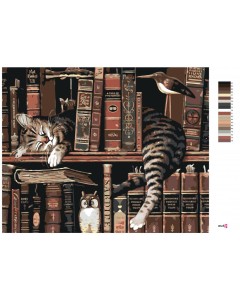 13996-6_malowanie-po-numerach---kot-w-bibliotece.png