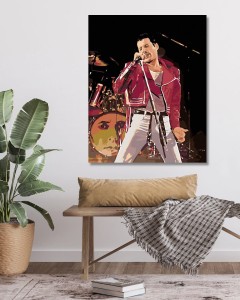 18682-2_malowanie-po-numerach-freddie-na-scenie.png