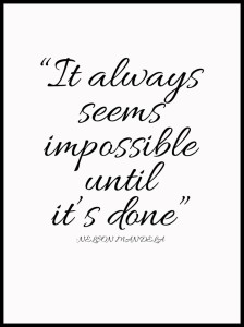 NELSON M. w ramcee 1.jpg