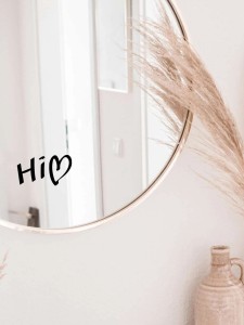 Hi3.jpg