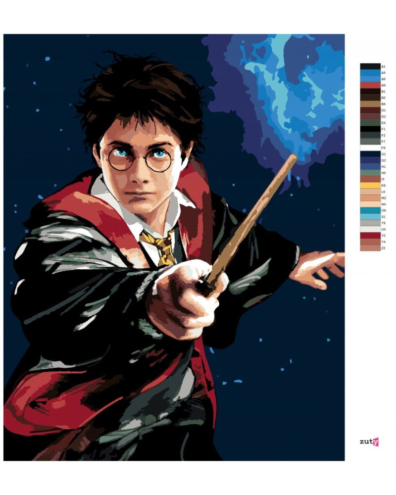 29895-2_malowanie-po-numerach-harry-potter-z-rozdzka.png