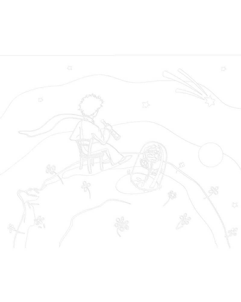 21681-1_malowanie-po-numerach-maly-ksiaze-patrzacy-w-gwiazdy.gif