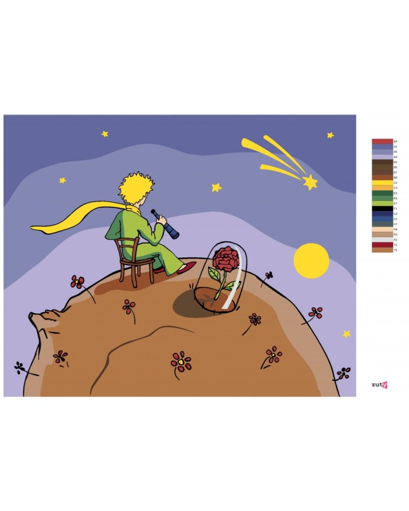 21681-3_malowanie-po-numerach-maly-ksiaze-patrzacy-w-gwiazdy.png