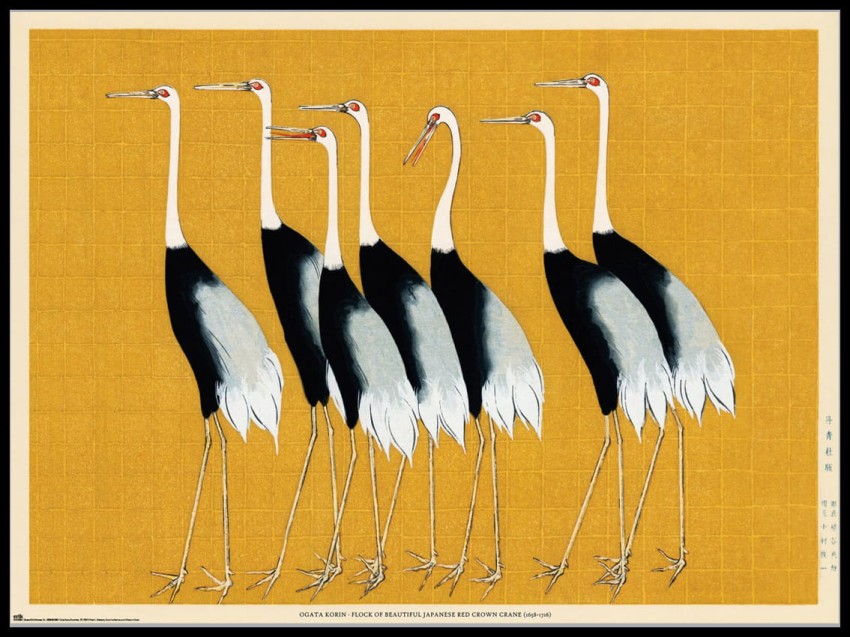 żurawie w ramcee 1.jpg