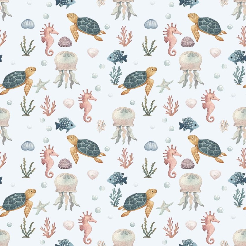 Koralone wybrzeże I.jpg