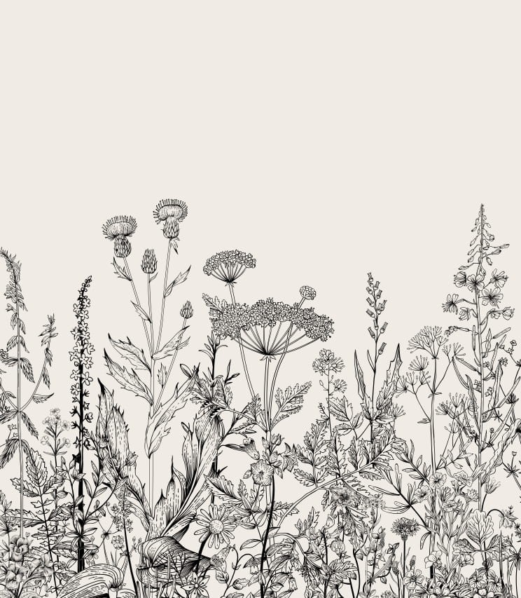 Tapeta-botaniczna-laka-w-bezu.jpg