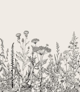 Tapeta-botaniczna-laka-w-bezu.jpg