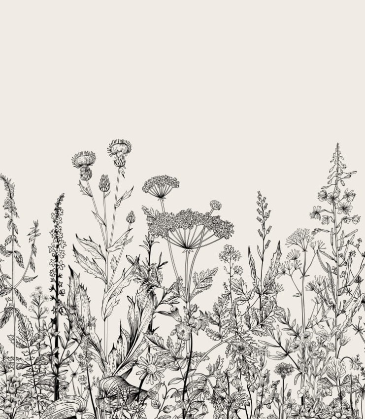Tapeta-botaniczna-laka-w-bezu.jpg