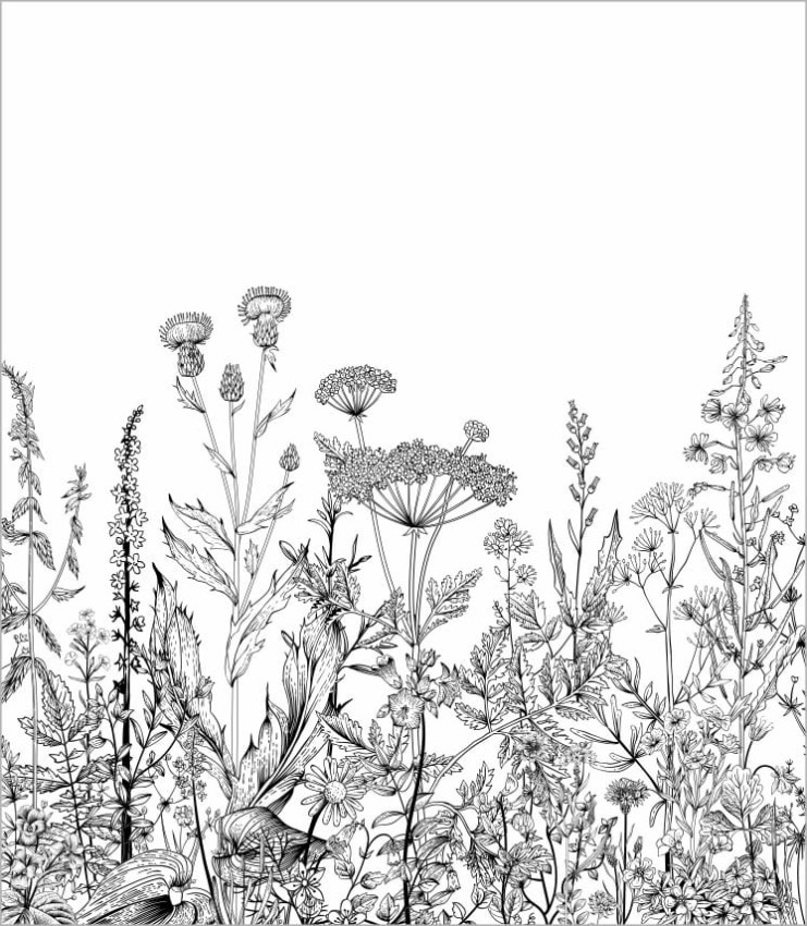 Tapeta-botaniczna-laka.jpg