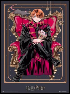 Wizard Dynasty Ron Weasley rama.jpg