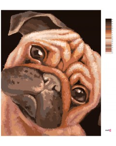 34884-2_malowanie-po-numerach-brazowy-mops--myroslava-voloschuk-.png