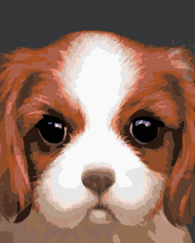 34890_malowanie-po-numerach-pies-cavalier-king-charles-spaniel--myroslava-voloschuk-.png