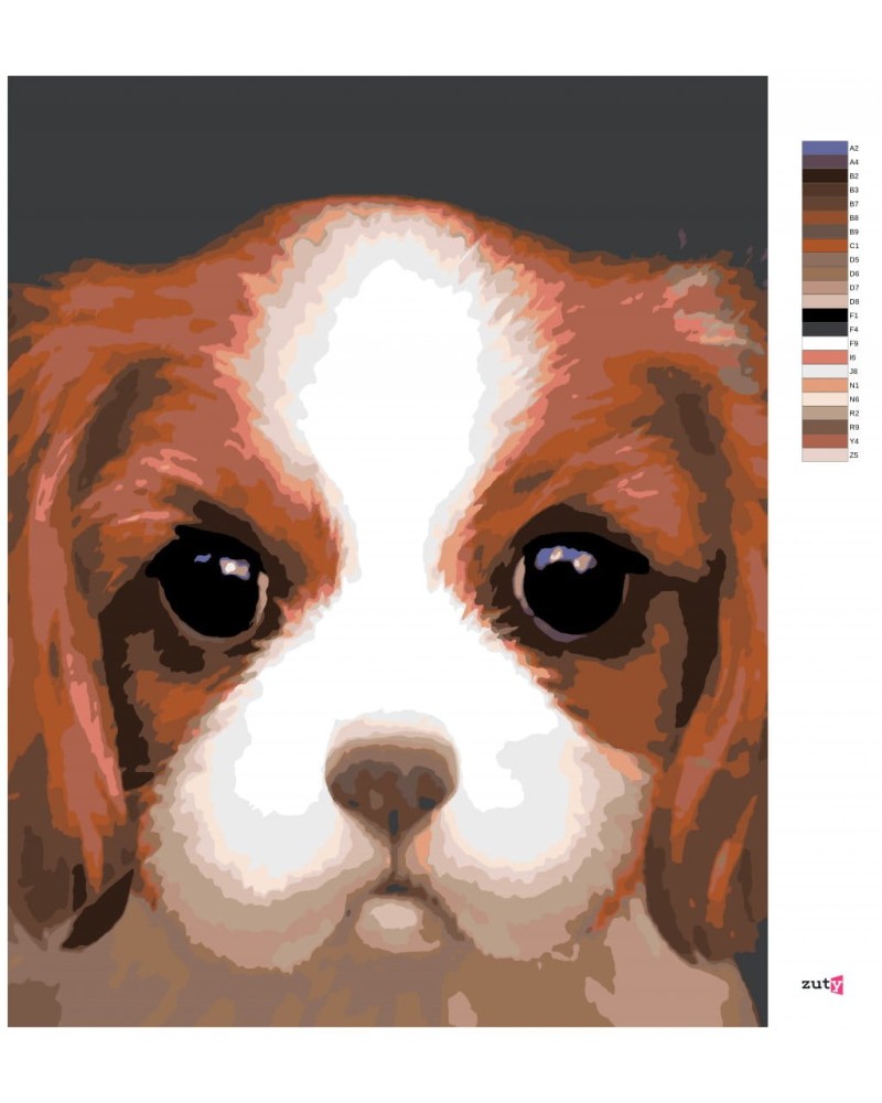 34890-2_malowanie-po-numerach-pies-cavalier-king-charles-spaniel--myroslava-voloschuk-.png