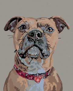 14572-2_malowanie-po-numerach---czuwajacy-pies — kopia.png