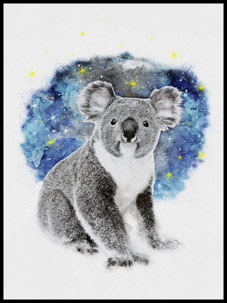 koala w ramcee 1.jpg