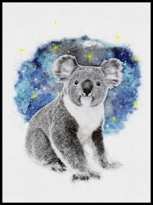 koala w ramcee 1.jpg