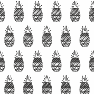 WR0100NW1531_PR zoom.png