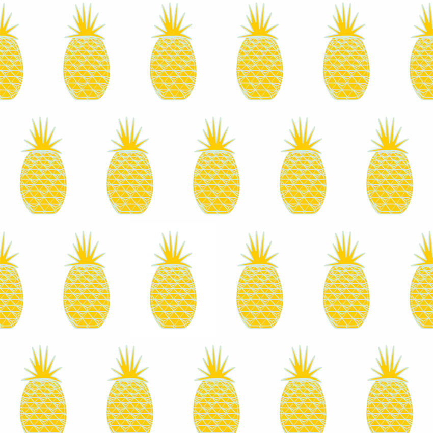 WR0410NW1532_PR zoom.png