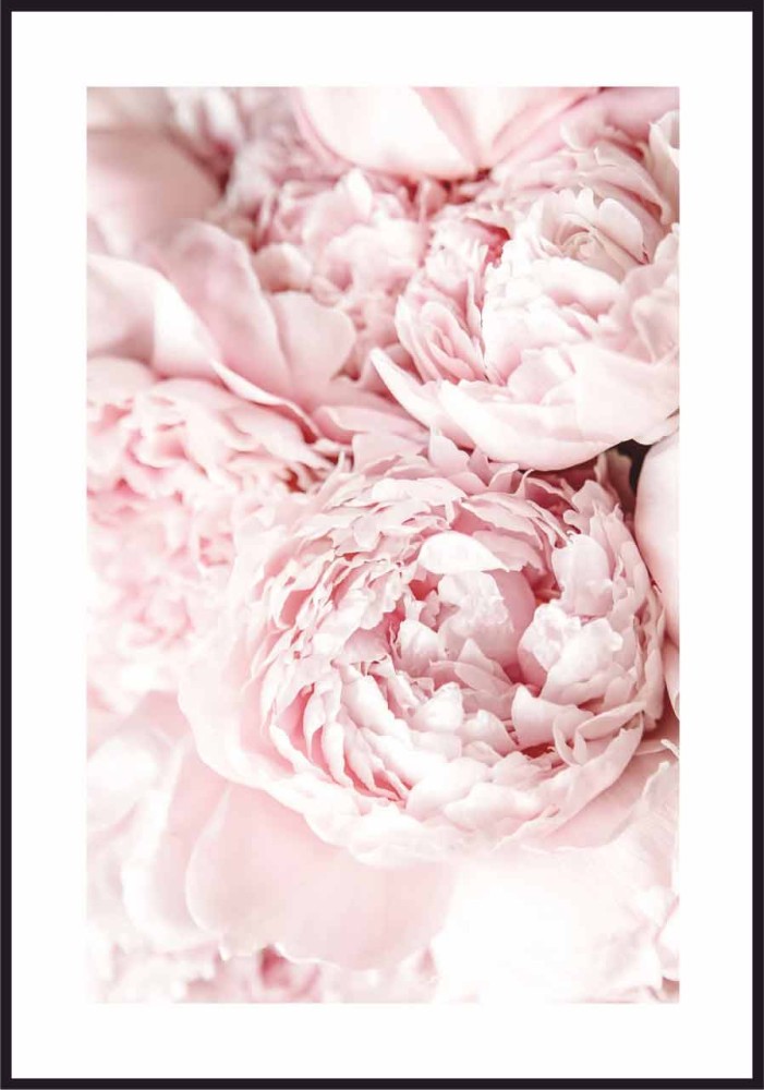 Plakat-rozowe-piwonie-z-bialym-marginesem.-Fotografia-z-piwoniami-pasuje-do-wnetrza-nowoczesnego,-skandynawskiego,-a-nawet-do-basniowego-swiata-malej-ksiezniczki..jpg