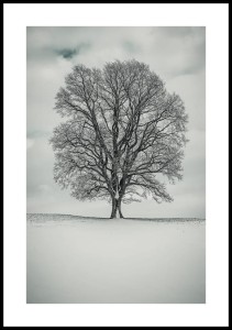 Plakat-zimowe-drzewo-z-bialym-marginesem.jpg