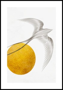 Plakat-jaskolka-na-tle-slonca-01.jpg