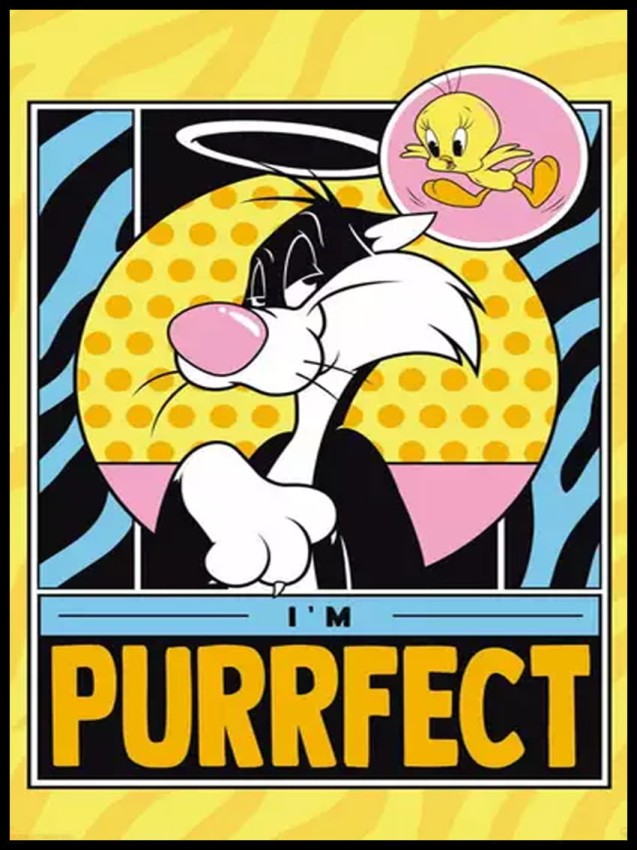 Looney Tunes Ptasiek Tweety i Kot Sylwester w ramcee 1.jpg