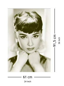 Audrey 2.webp