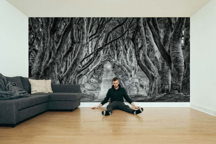 droga przez las 1.jpg