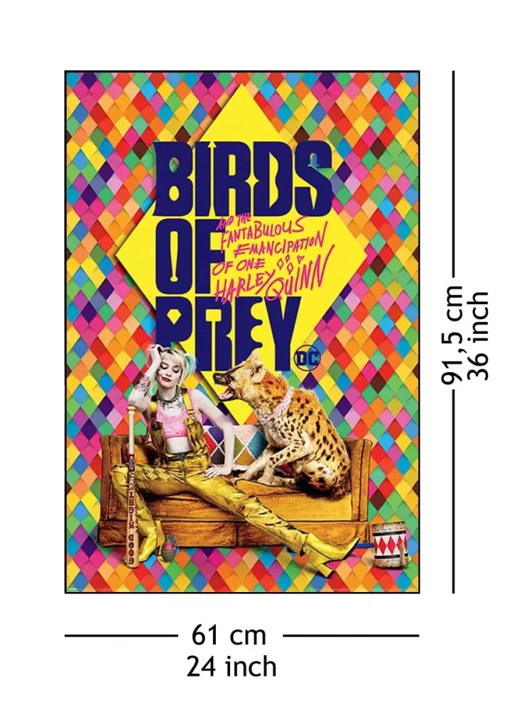 Birds of Prey 4.webp