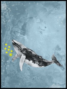 Waleń w ramcee 1.jpg