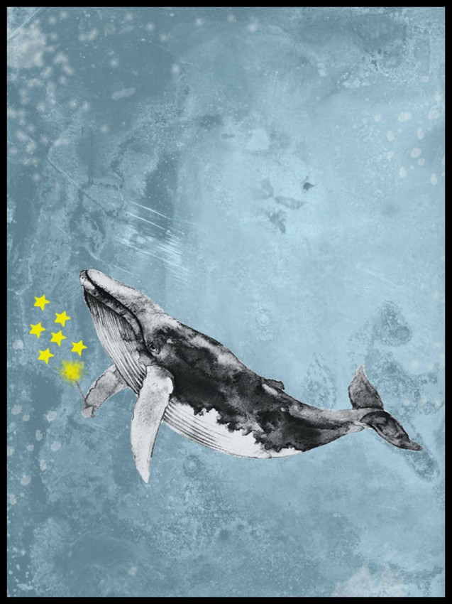 Waleń w ramcee 1.jpg