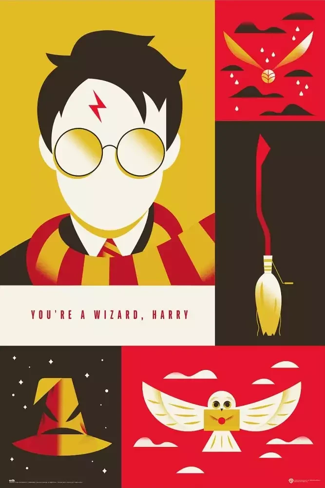 Harry Potter WB.webp