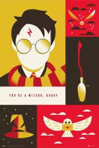 Harry Potter WB.webp