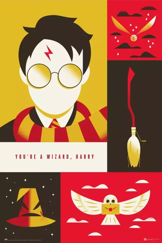 Harry Potter WB.webp