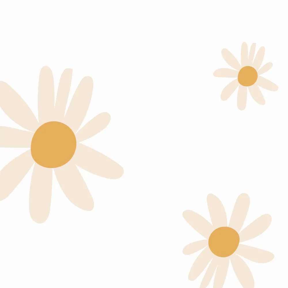 Tapeta stokrotki biala 2.webp