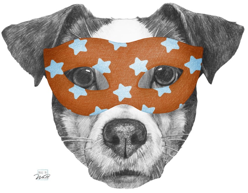 naklejka-jack-russell-maska-N429.jpg