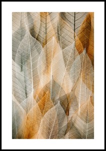 Plakat-jesienne-liscie-z-bialym-marginesem.jpg